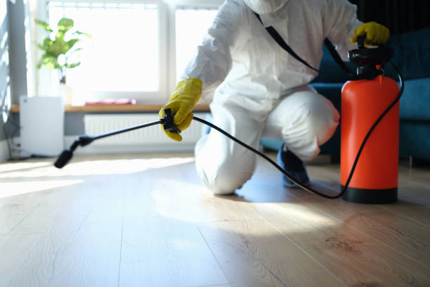 Reliable Odor Removal contractor in Clearlake, CA by Crime Scene Cleaner Online